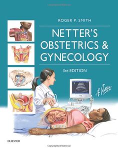 Obstetrics and gynecology definition